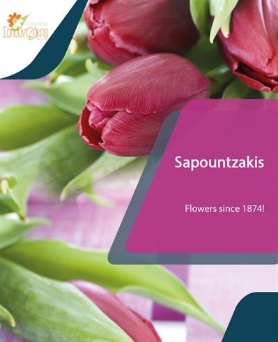 Sapountzakis Flower Shop